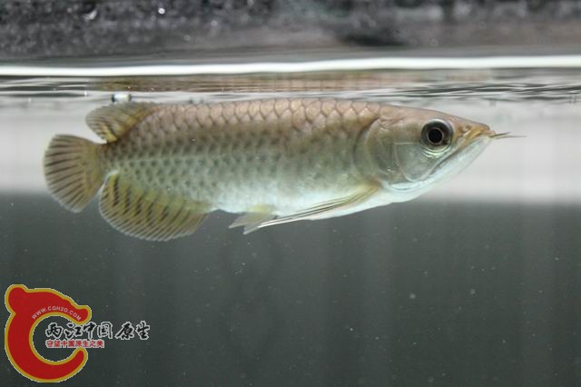 调整大小 IMG_9033.jpg