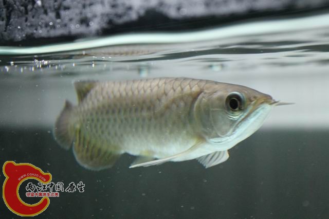 调整大小 IMG_9044.jpg