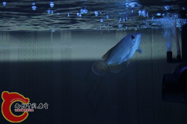 调整大小 IMG_9076.jpg