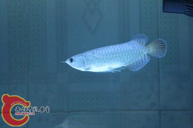 调整大小 IMG_9093.jpg