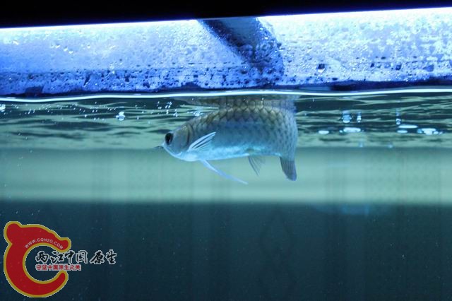 调整大小 IMG_9163.jpg