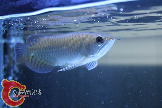 调整大小 IMG_9188.jpg