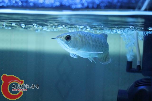 调整大小 IMG_9193.jpg