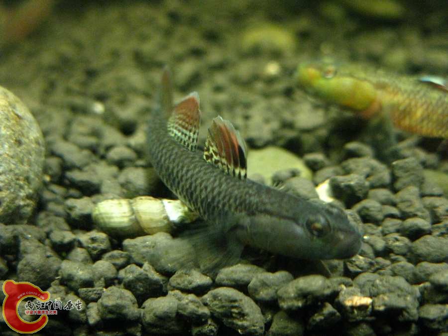 IMG_0244.JPG