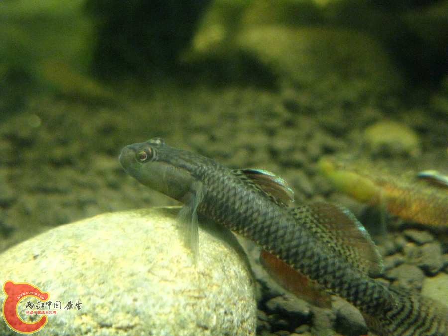IMG_0250.JPG