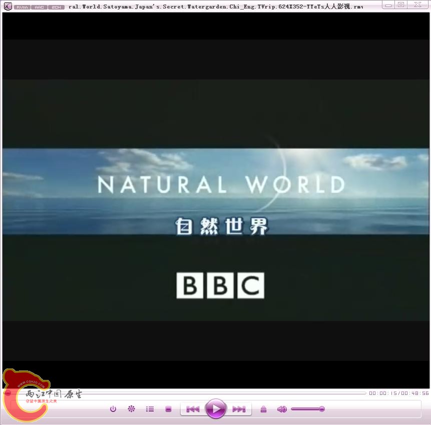 BBC.JPG