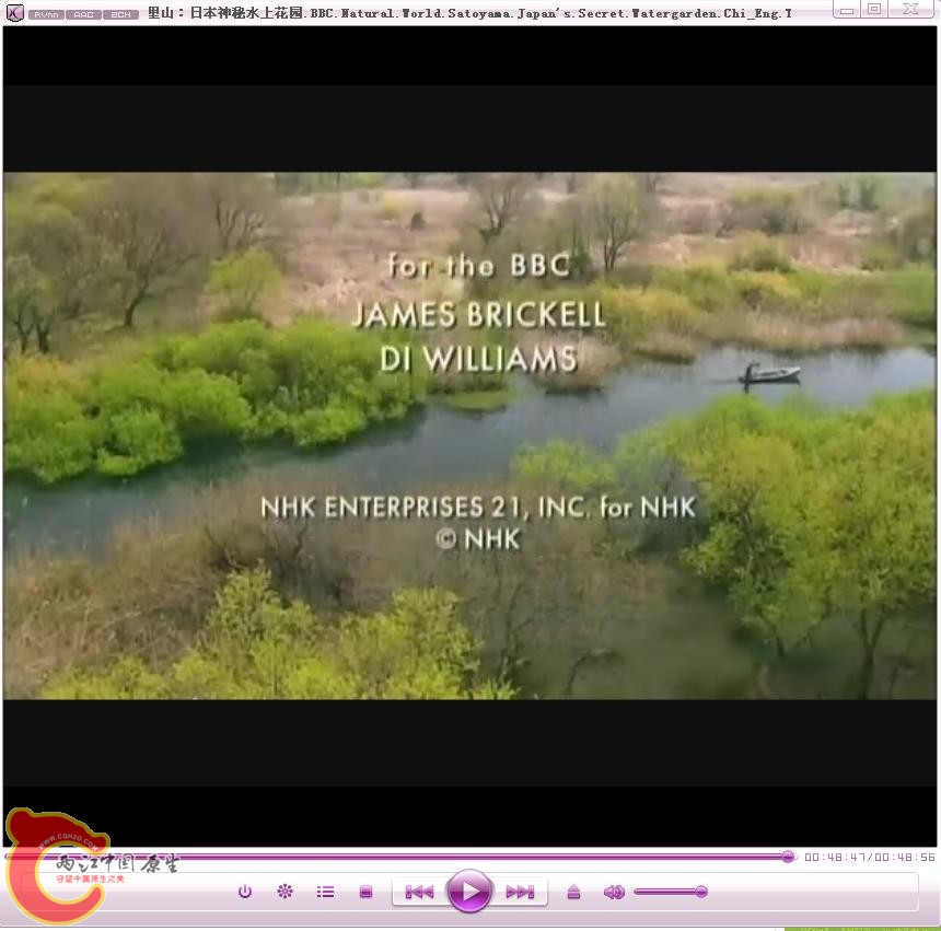 BBC03.JPG
