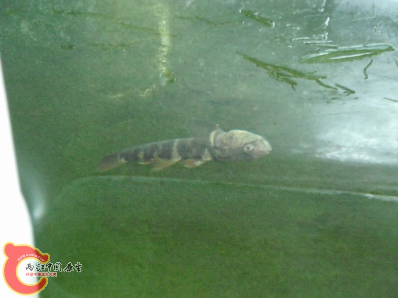 DSCF0754.jpg