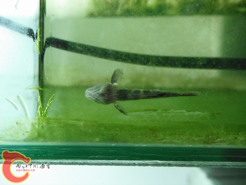 DSCF0750.jpg