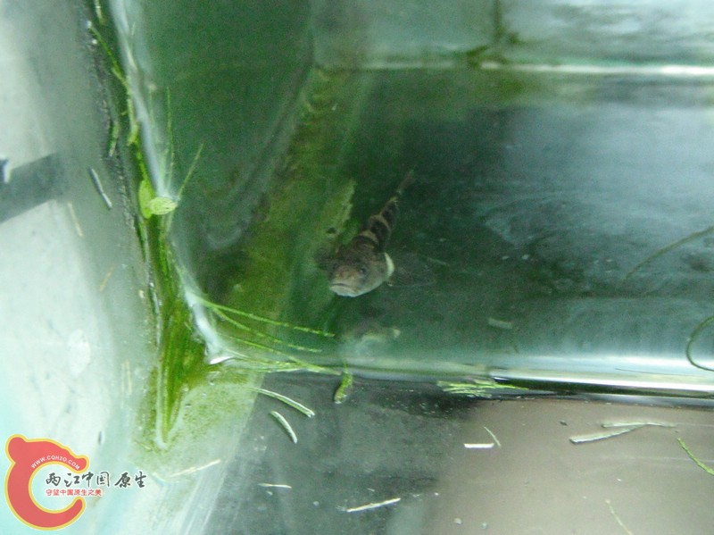 DSCF0752.jpg