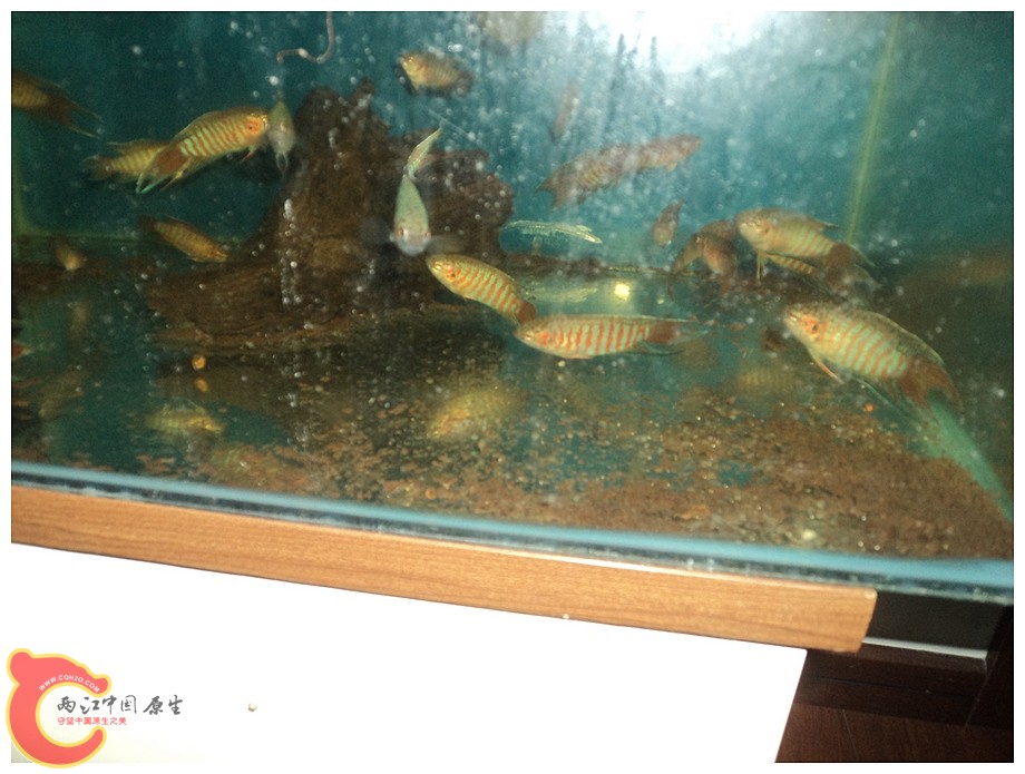 DSC09300.JPG