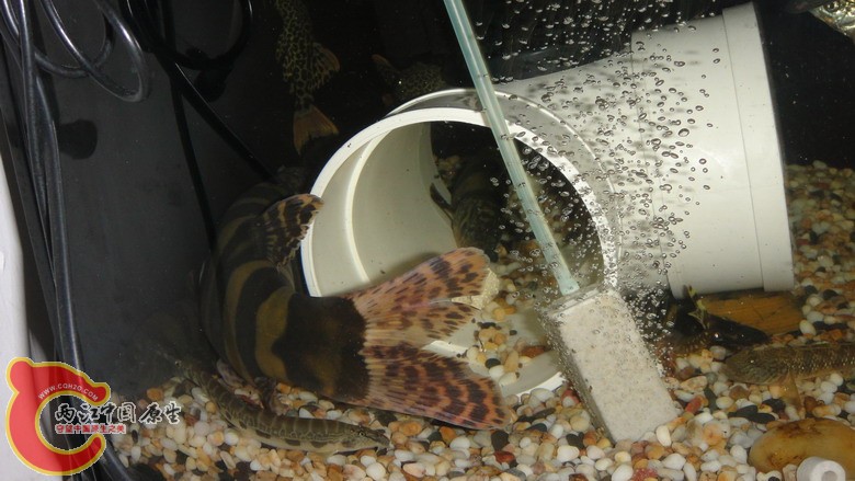 DSC05982_缩小大小.JPG