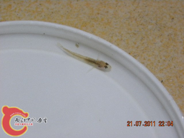 照片 001.jpg