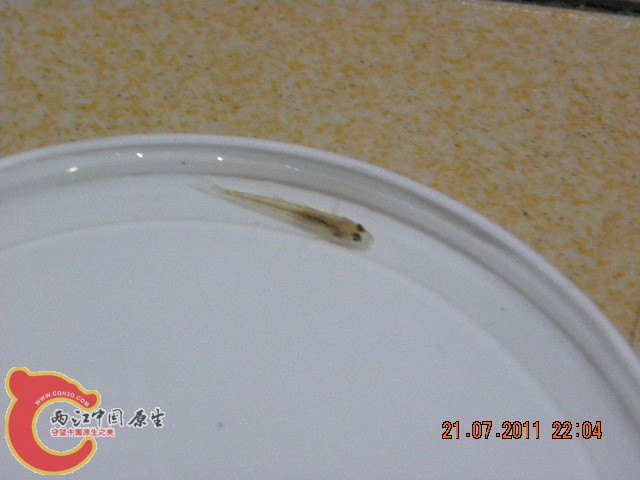 照片 003.jpg