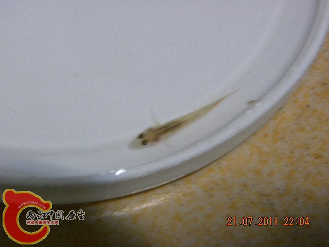 照片 005.jpg