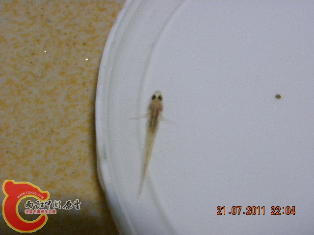 照片 007.jpg