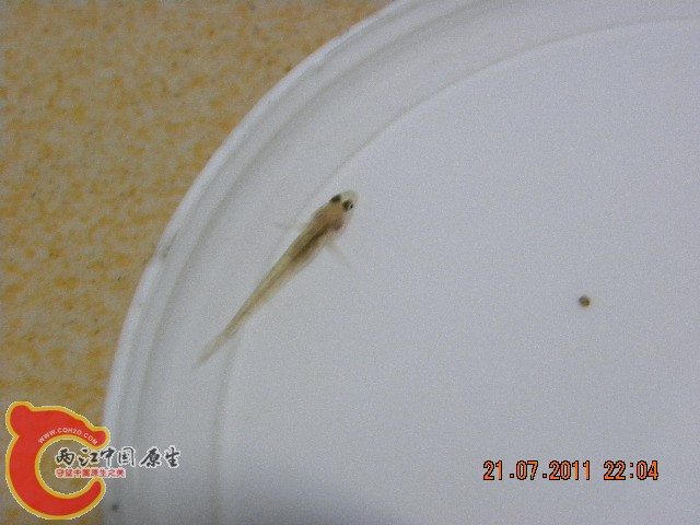 照片 008.jpg
