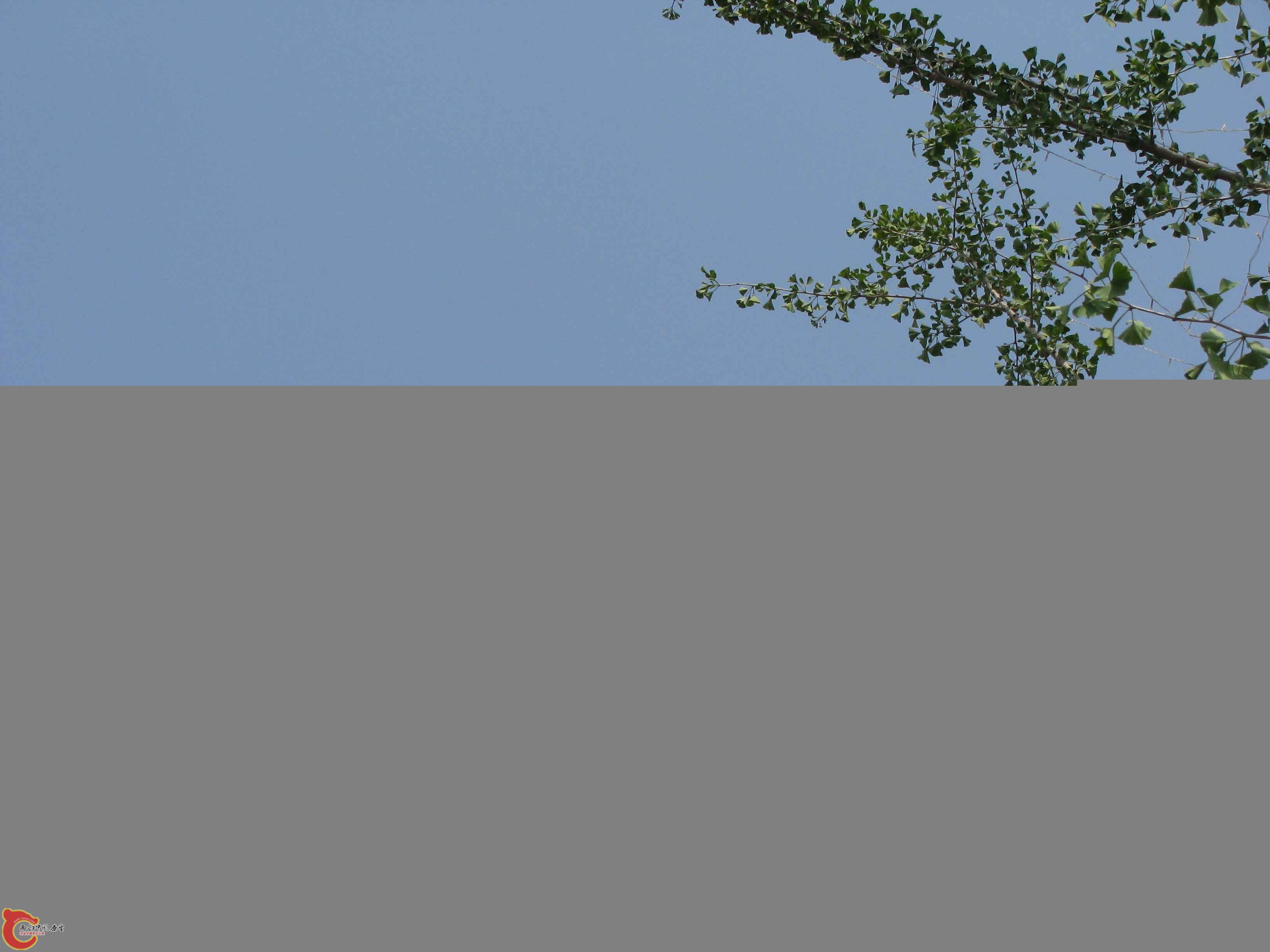 IMG_5872.JPG