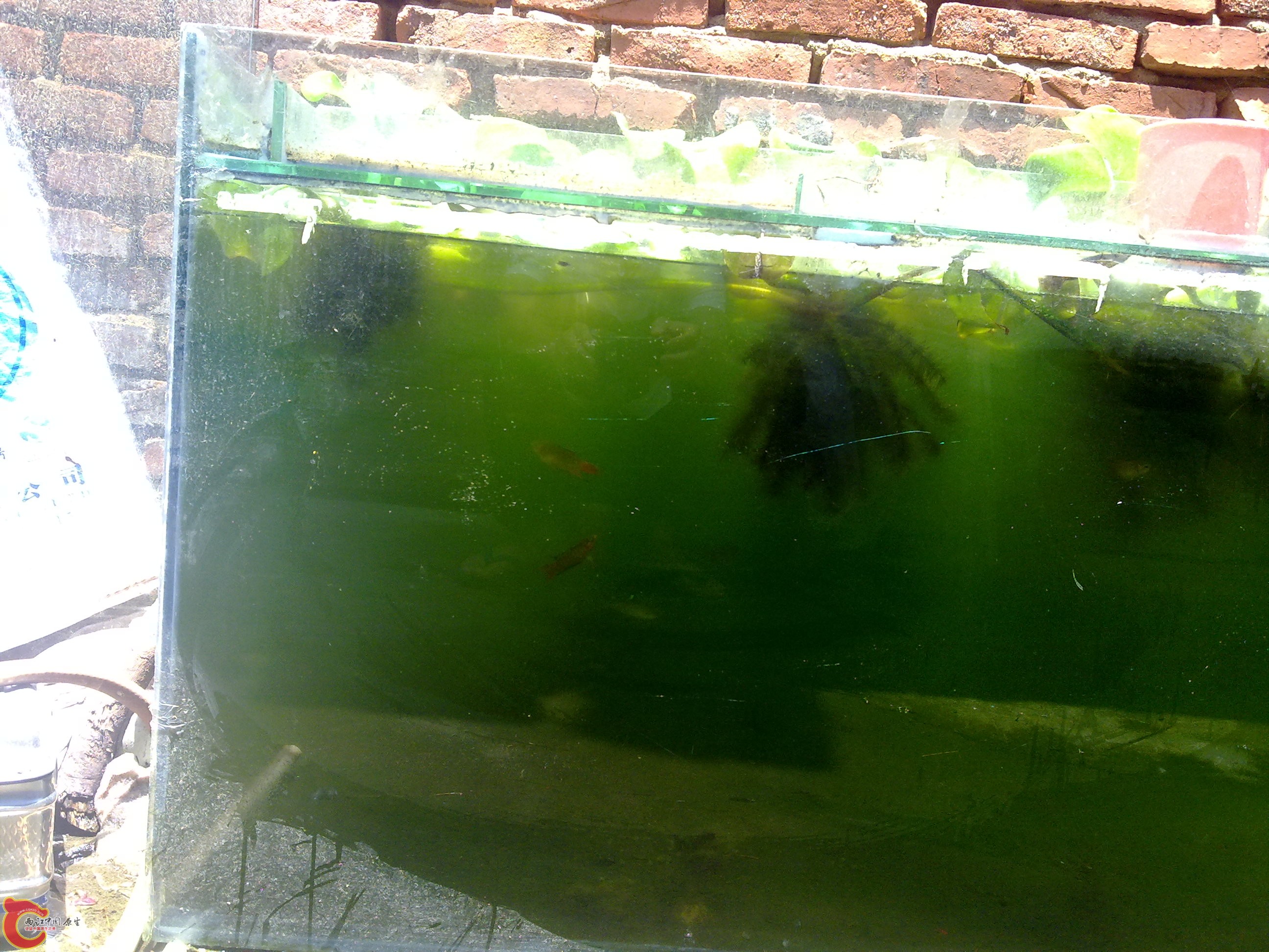 20110722796.jpg