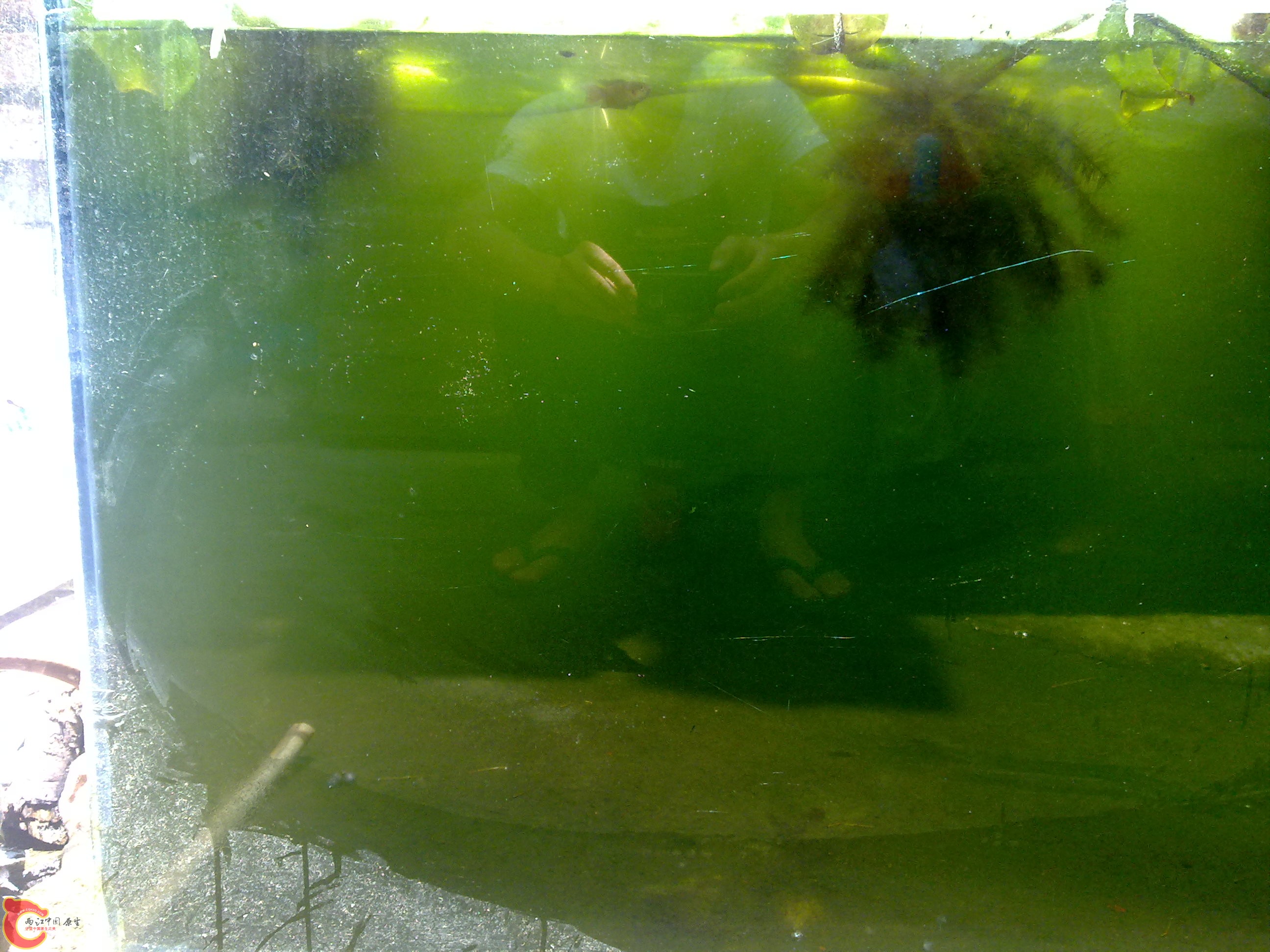 20110722798.jpg
