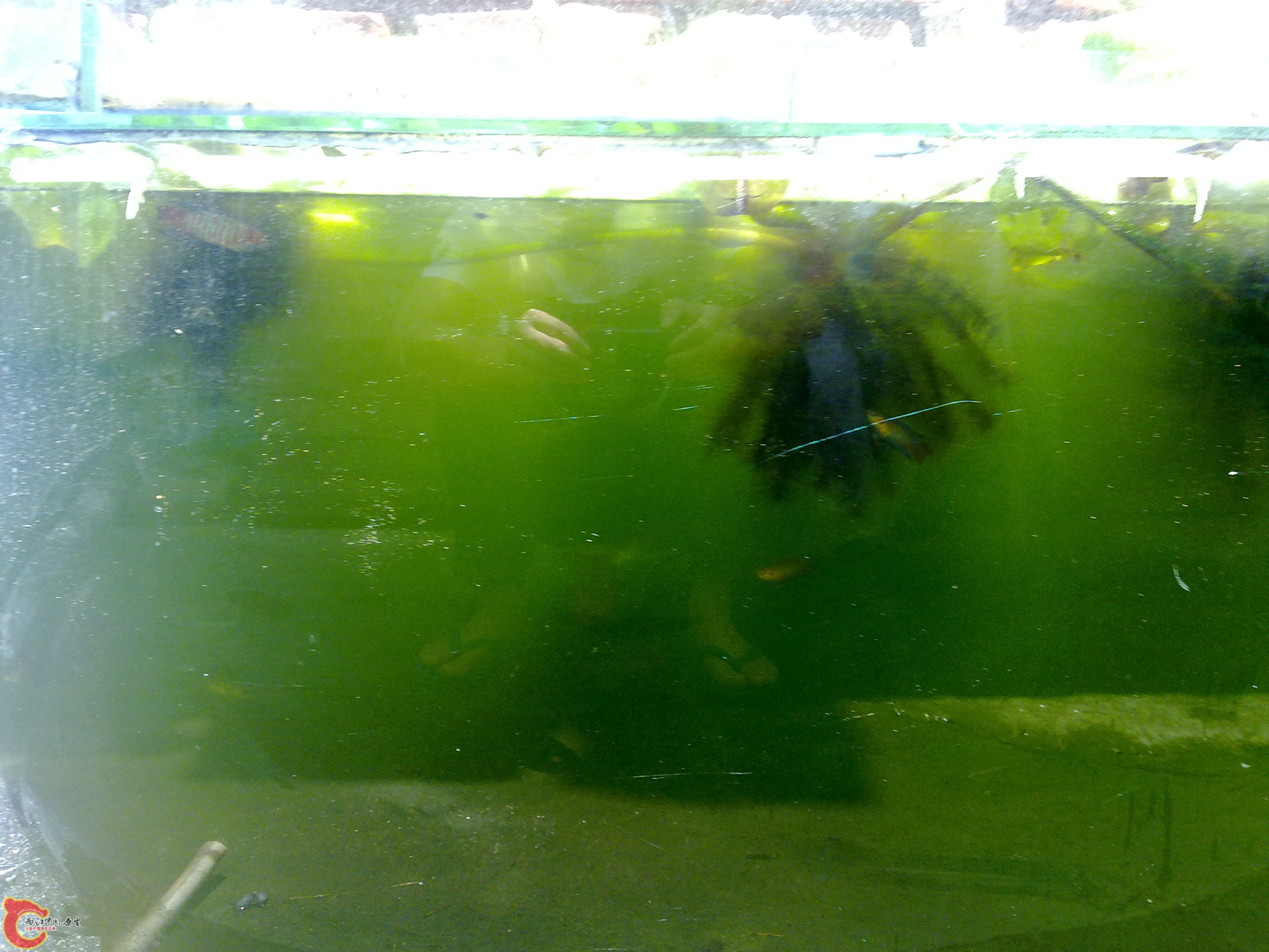 20110722799.jpg