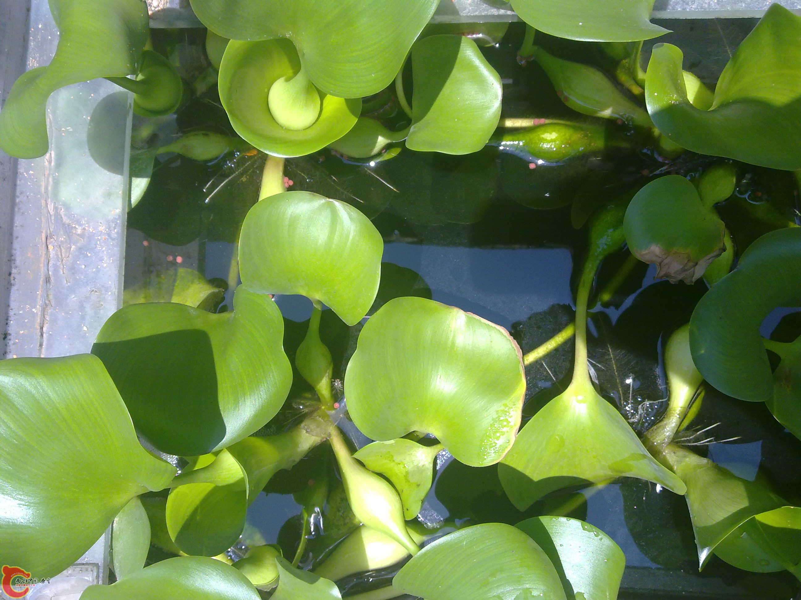 20110722802.jpg
