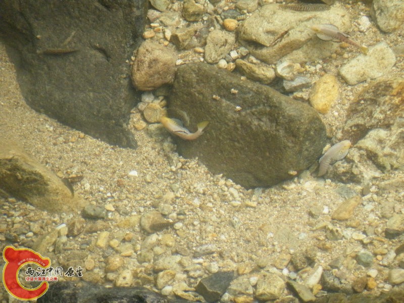 DSCF0023.JPG