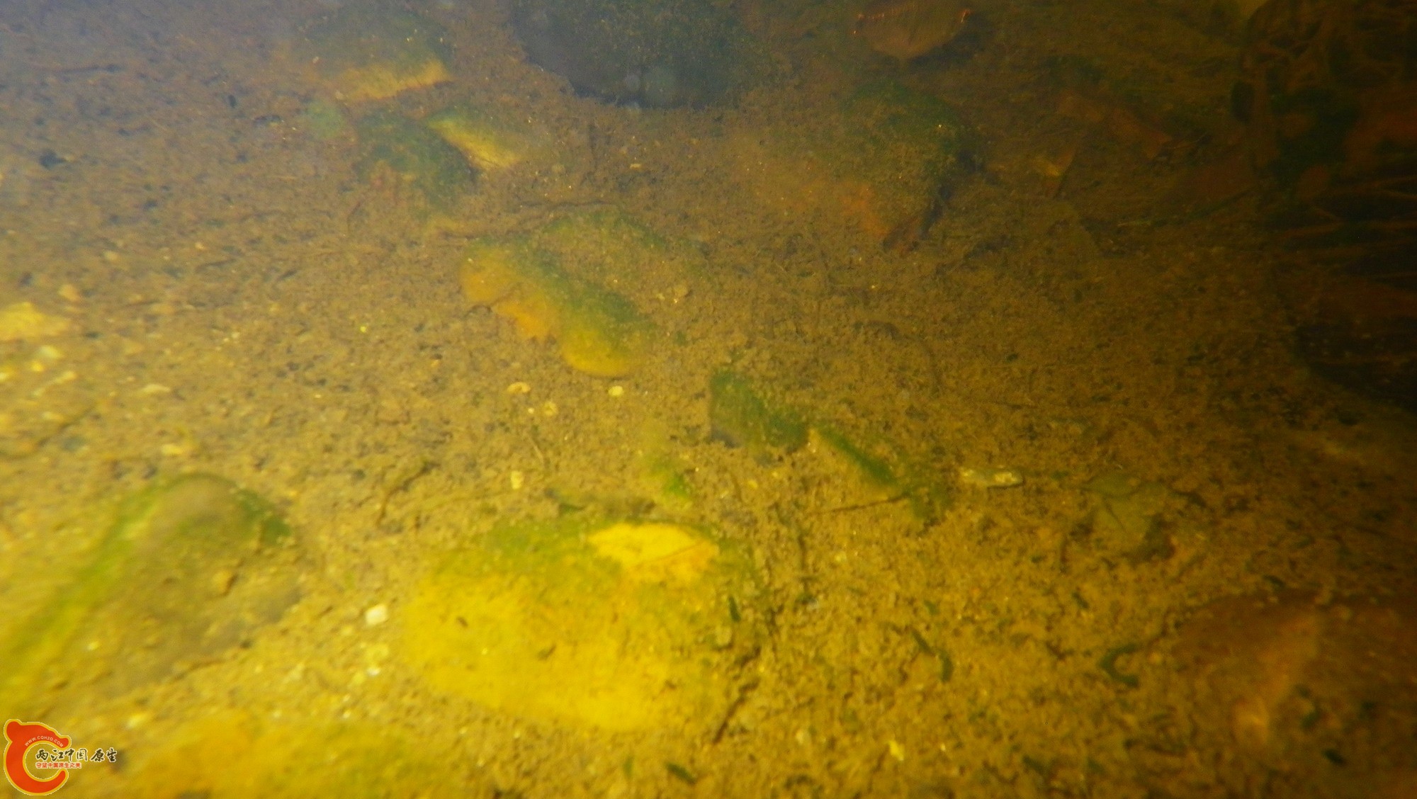 IMGP3838.jpg