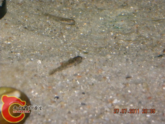 照片 043.jpg