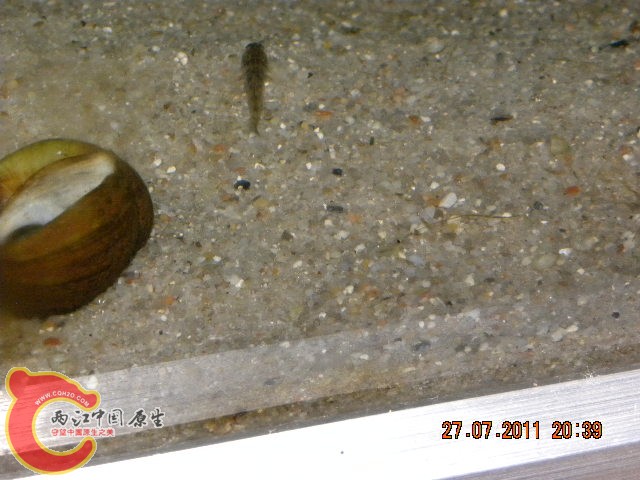 照片 042.jpg