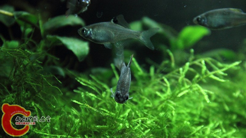 IMG_2305.jpg