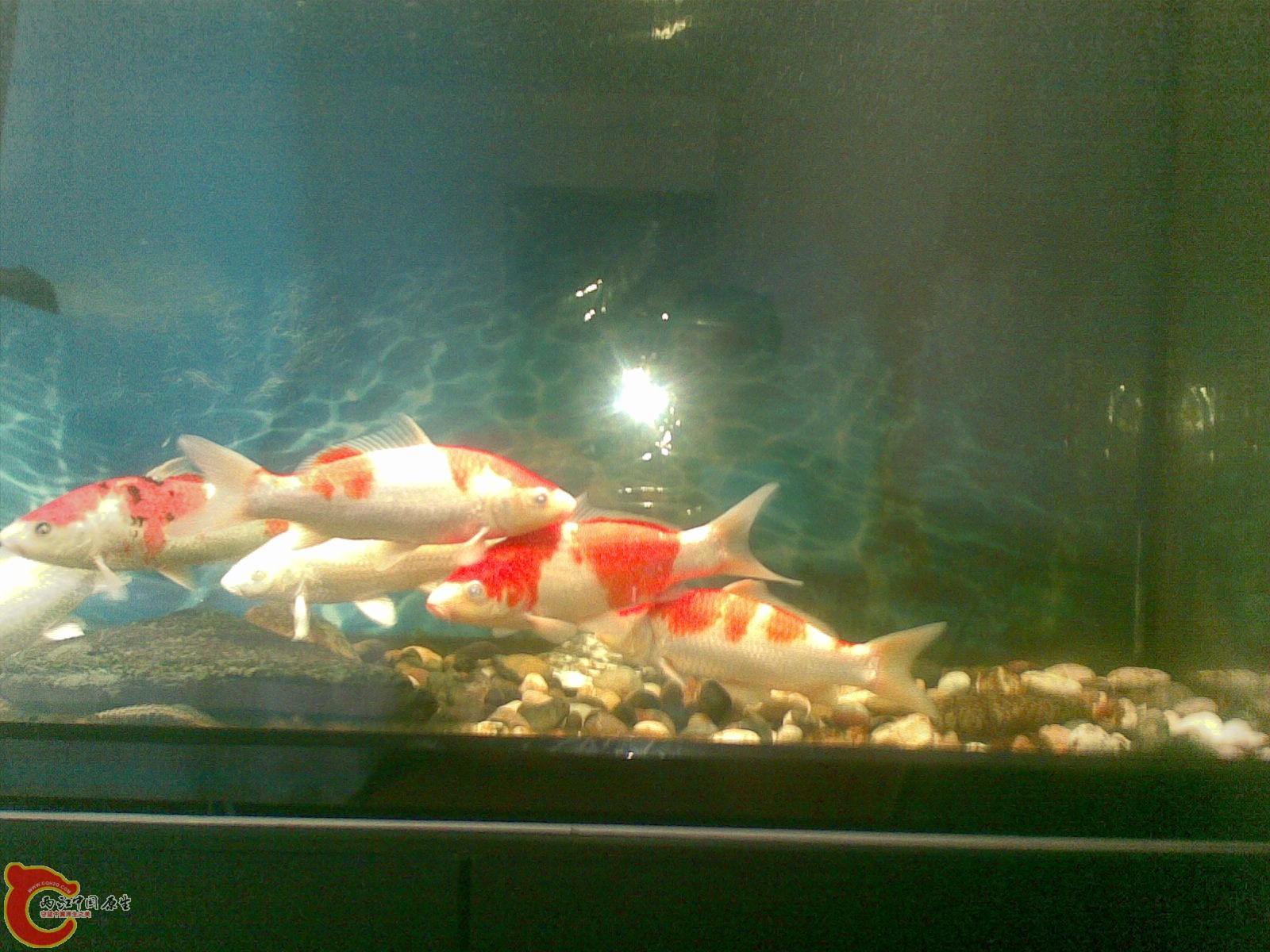 20110730(004).jpg