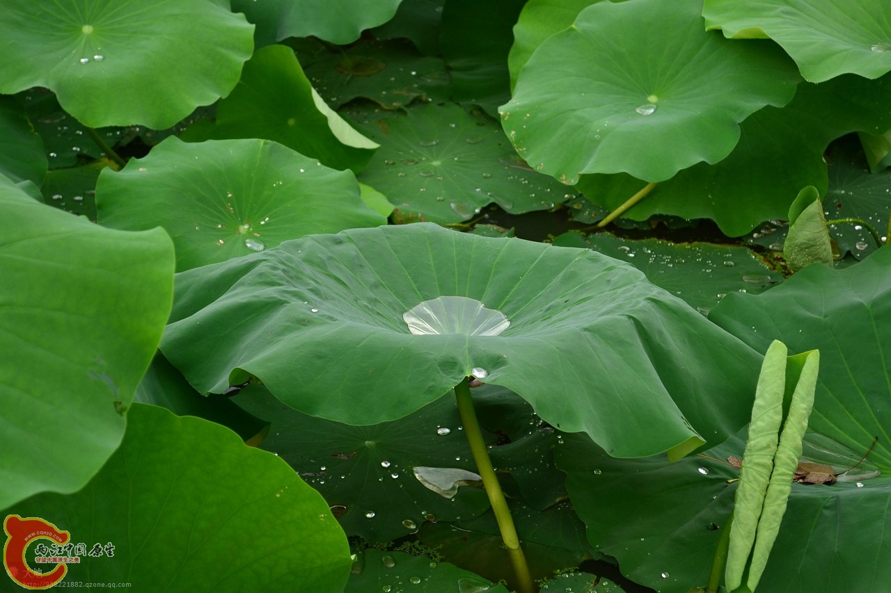 201107301049.jpg