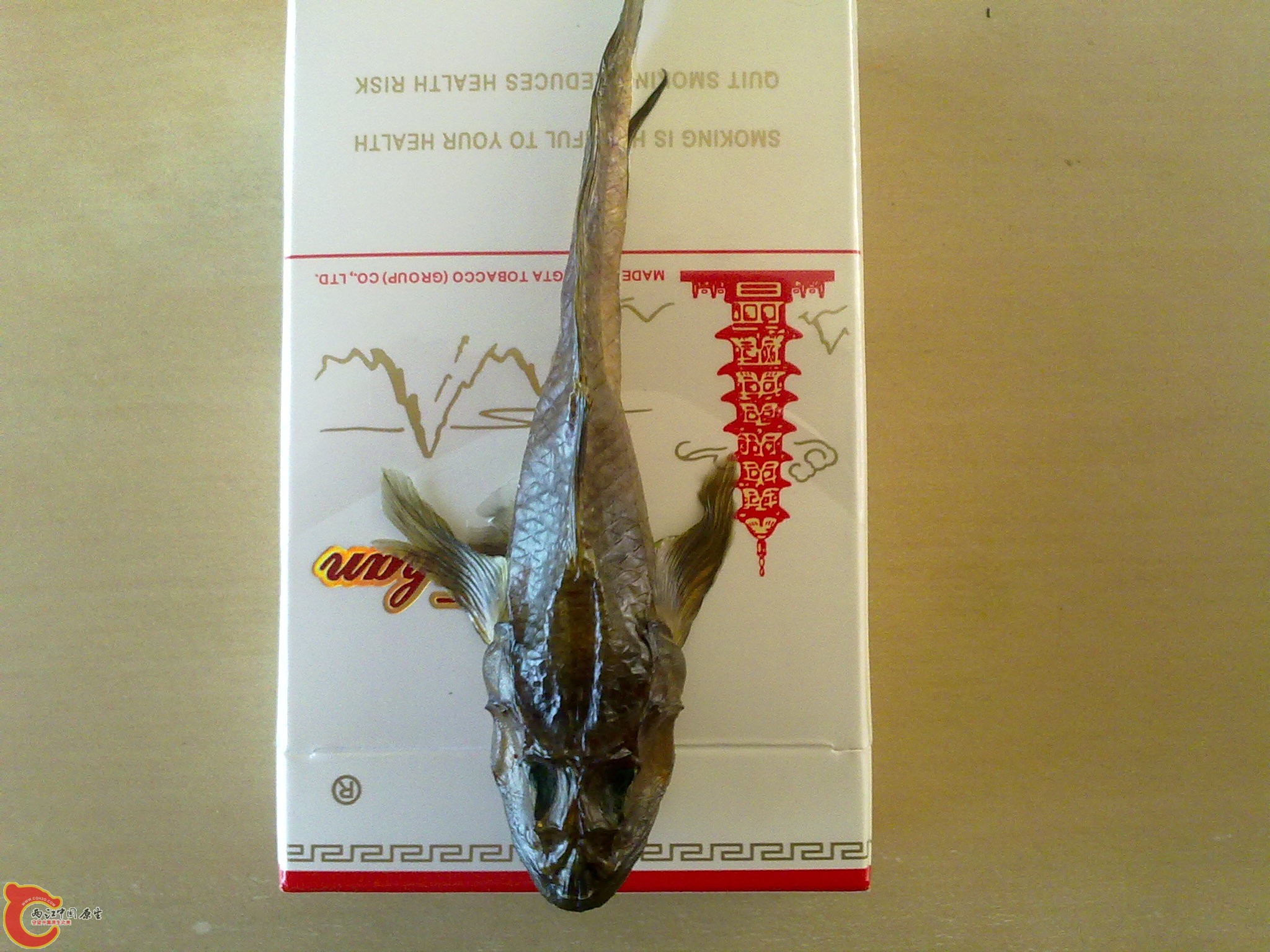 20110801396.jpg