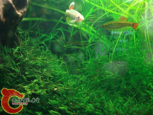 DSC05864.jpg