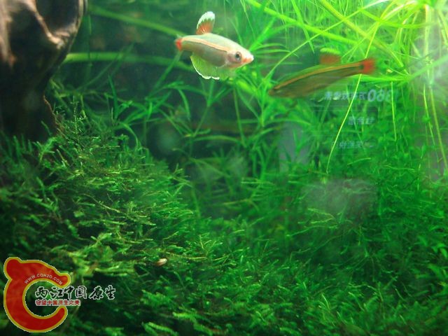 DSC05865.jpg
