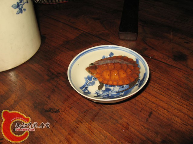 照片 182.jpg