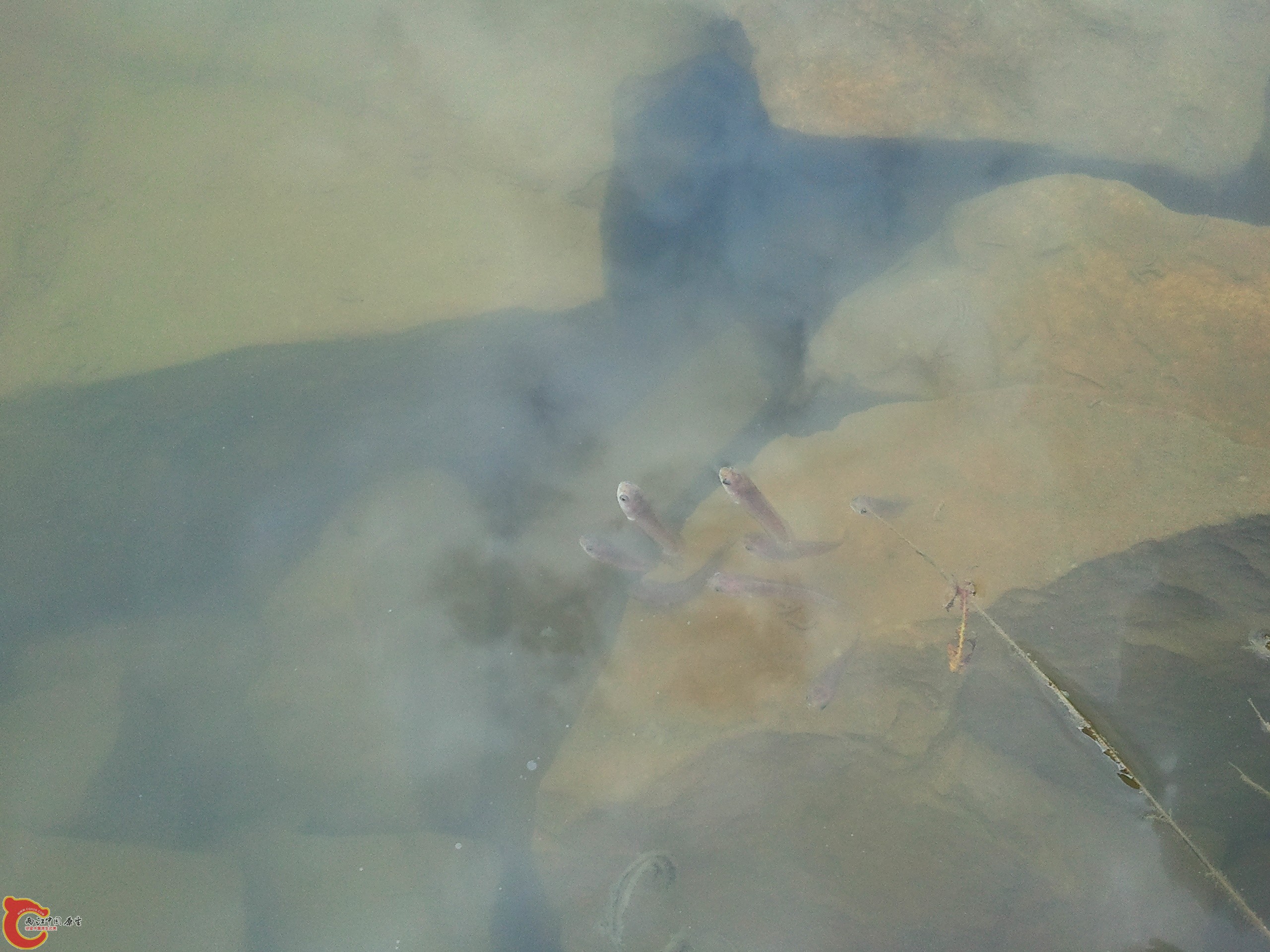 2011-08-15 09.54.23.jpg