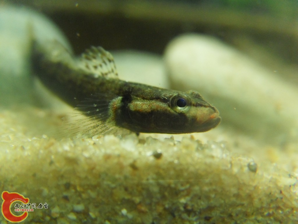 SDC17952.JPG