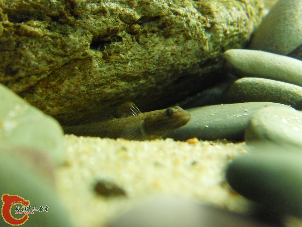 SDC18129.JPG