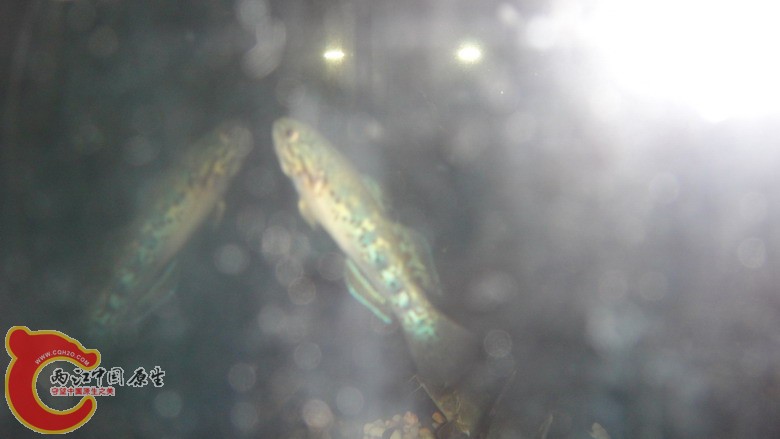 DSC06452_缩小大小.JPG