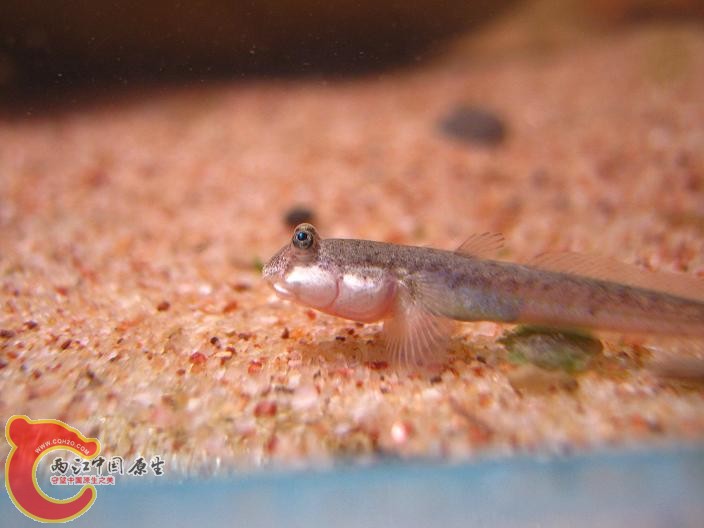IMG_7866.JPG