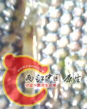 IMG0071A.jpg