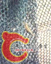IMG0072A.jpg