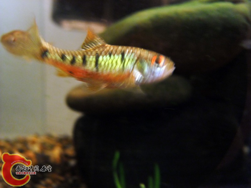 DSCF8731.jpg