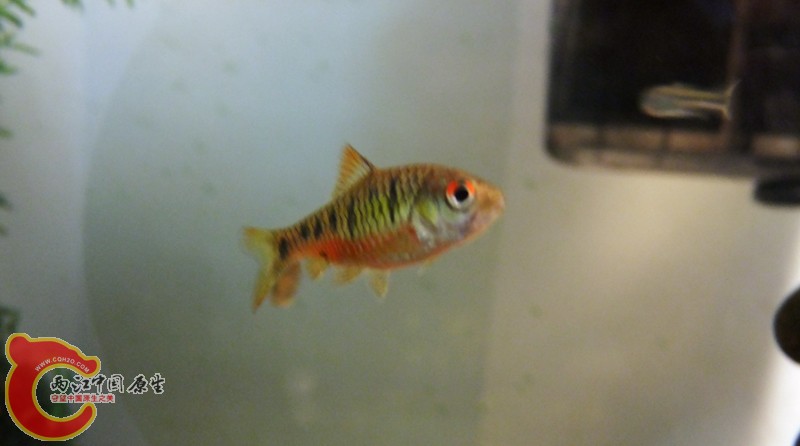 DSCF8752.jpg