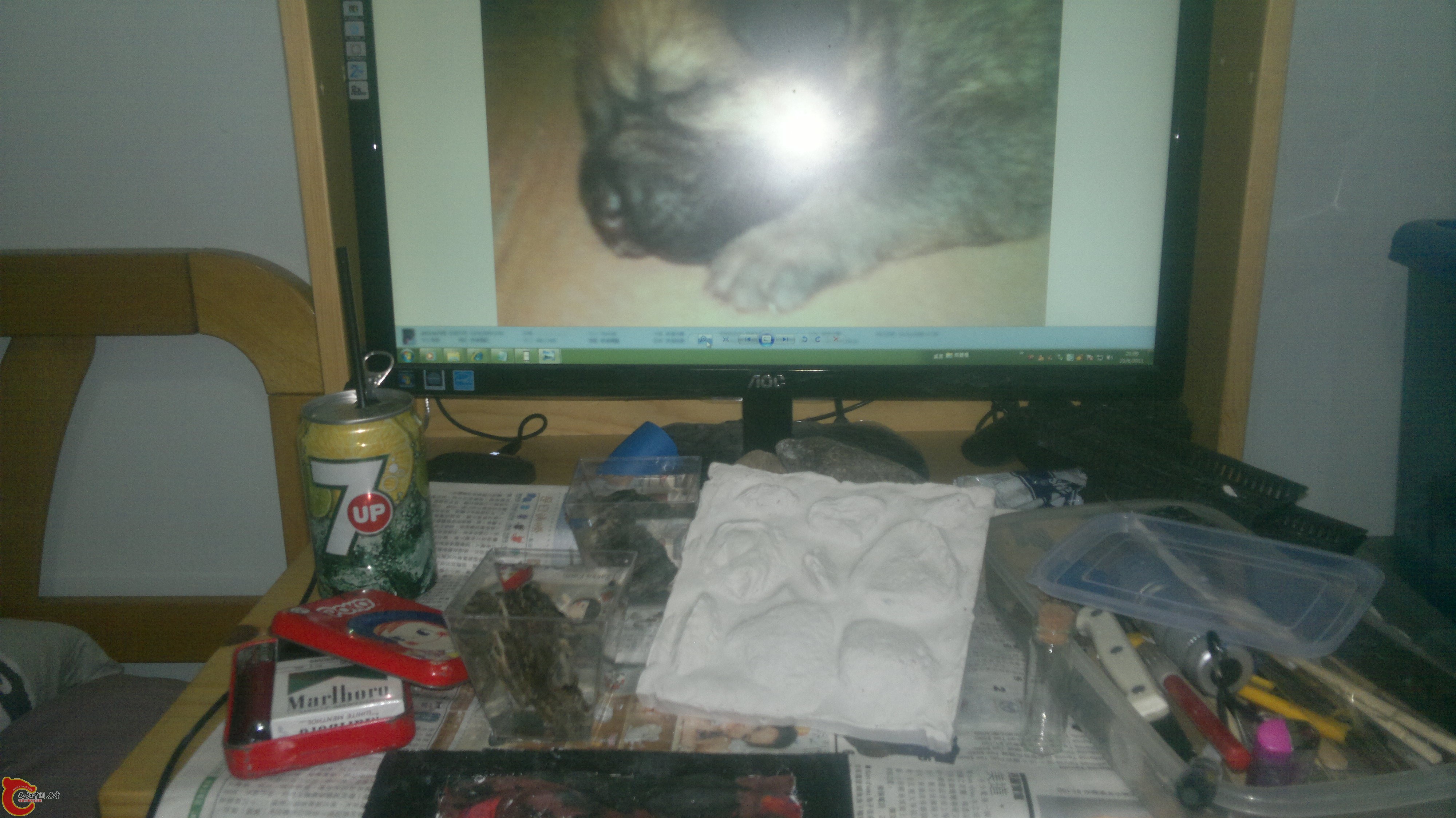20110823049.jpg