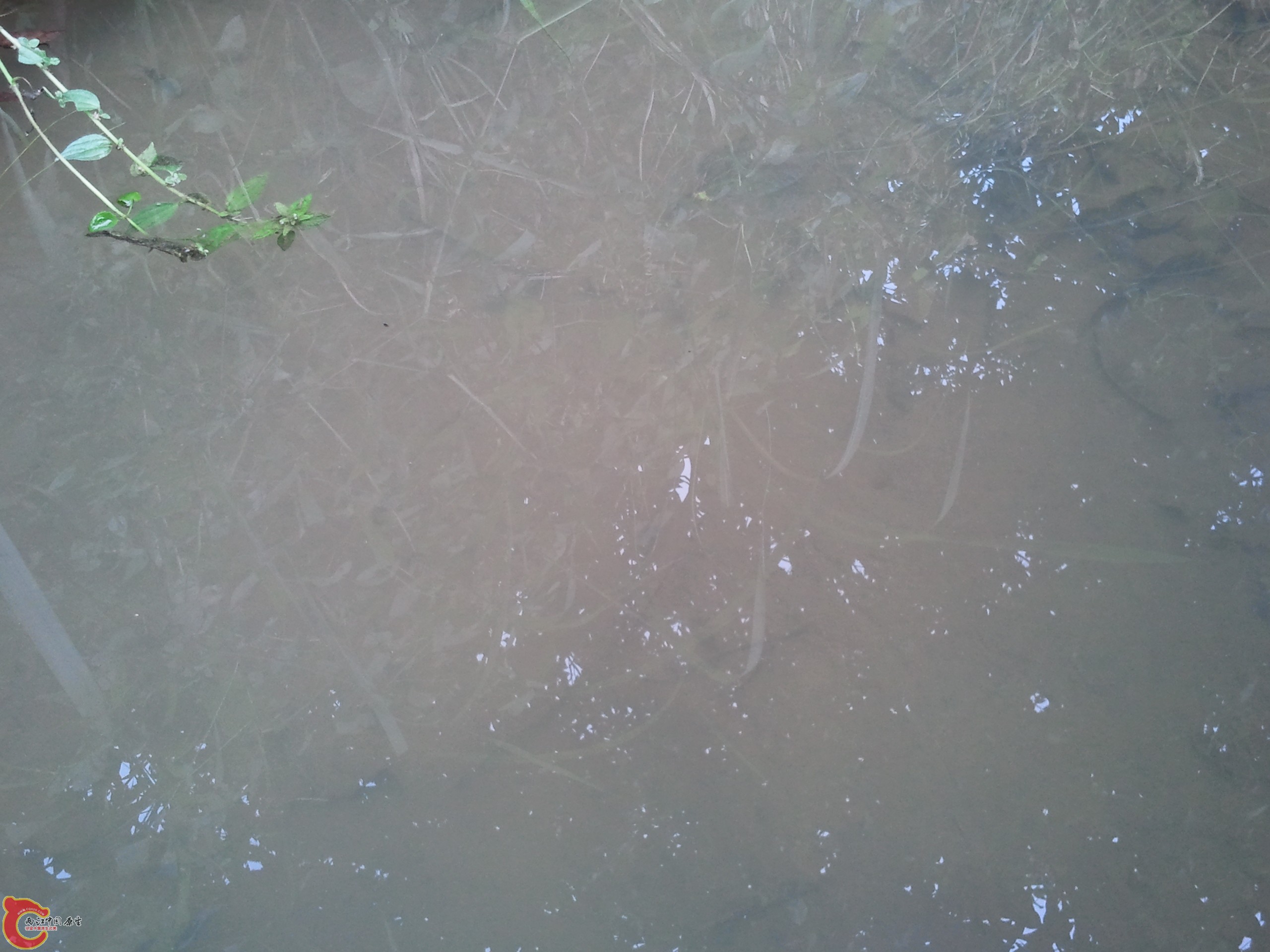 2011-08-25 16.07.21.jpg