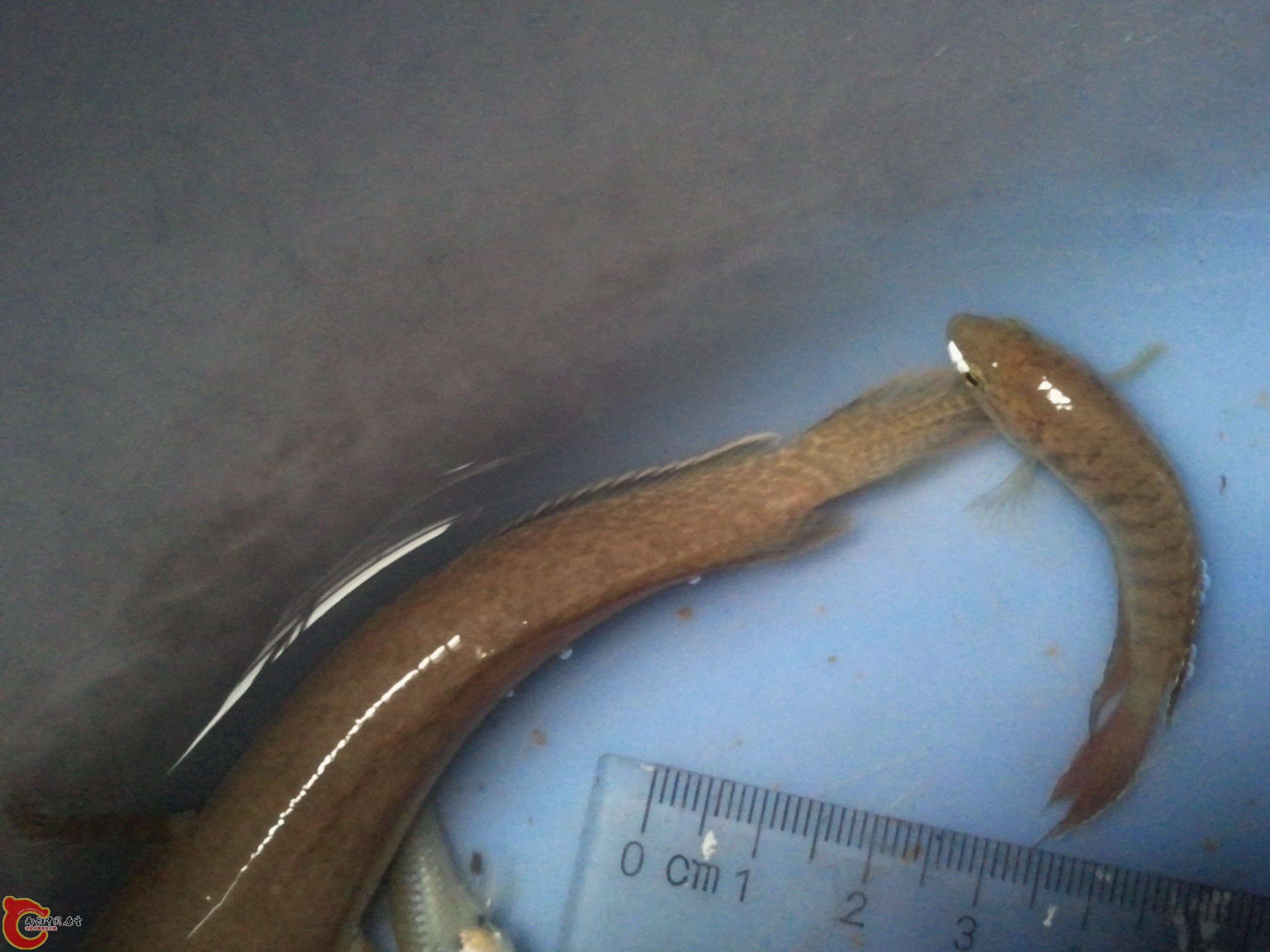 2011-08-25 17.57.29.jpg