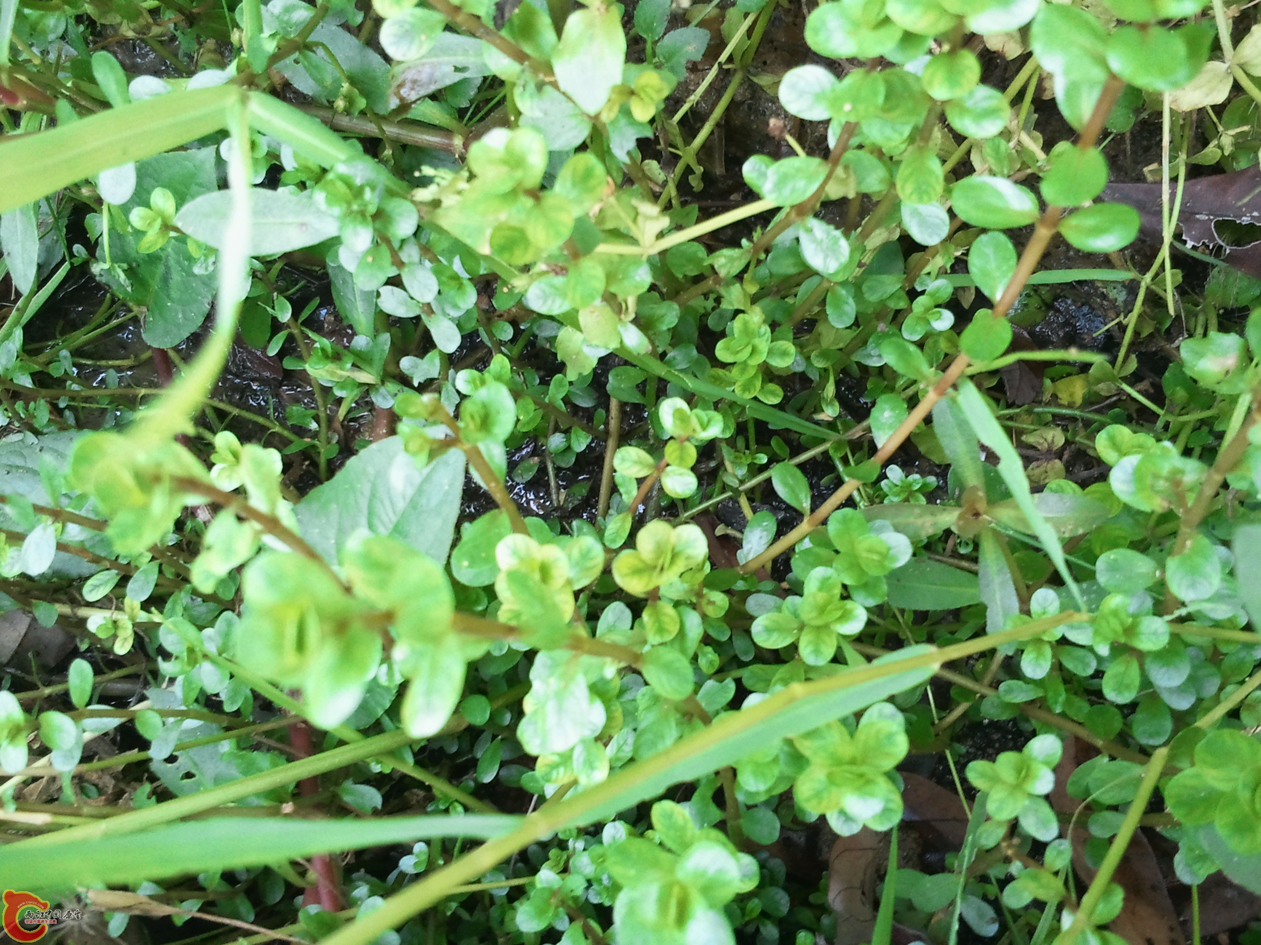 2011-08-25 15.45.18.jpg